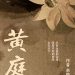 review Hoàng Đình - Thân Vẫn Chỉ Tiêm